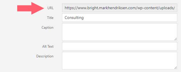 How to get the image URL