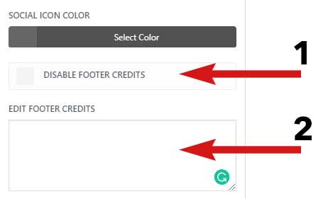 remove designed by elegant-themes-powered by wordpress in Divi