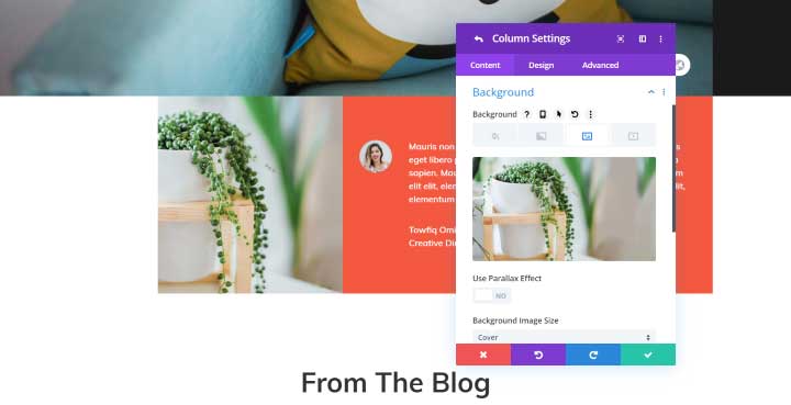 Divi sizes for images