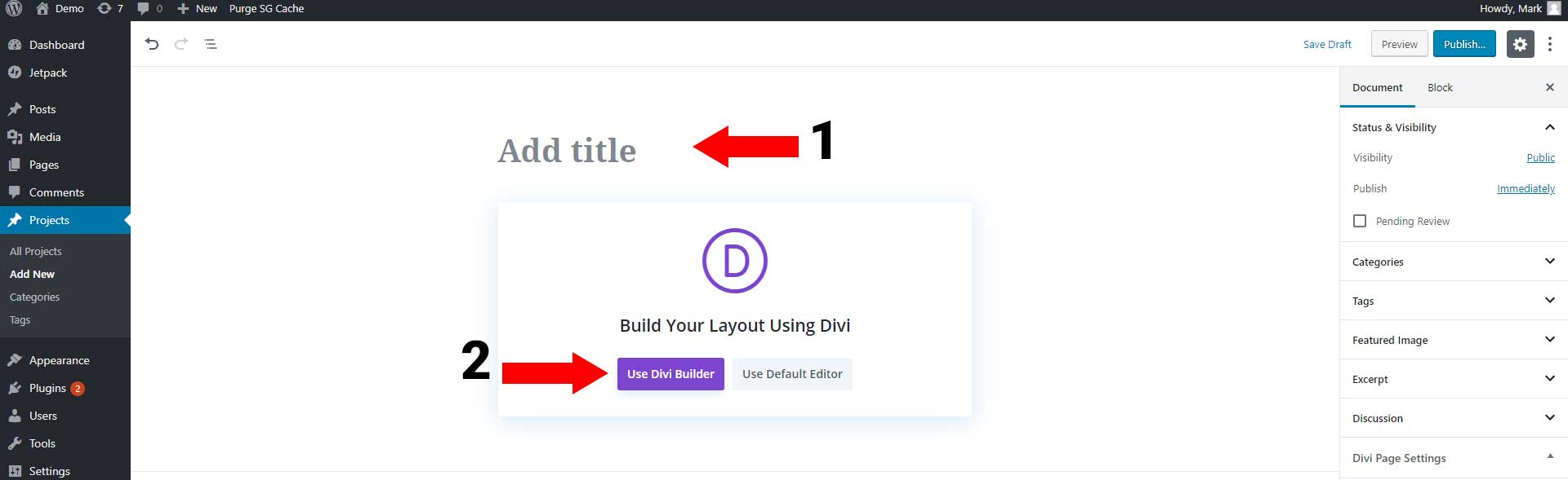 Give your portfolio project a title
