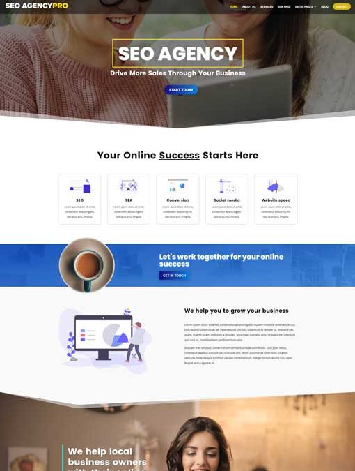 SEO Agency Pro