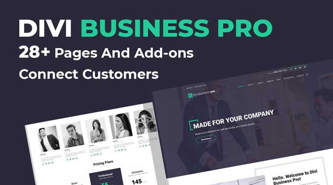 Divi business pro