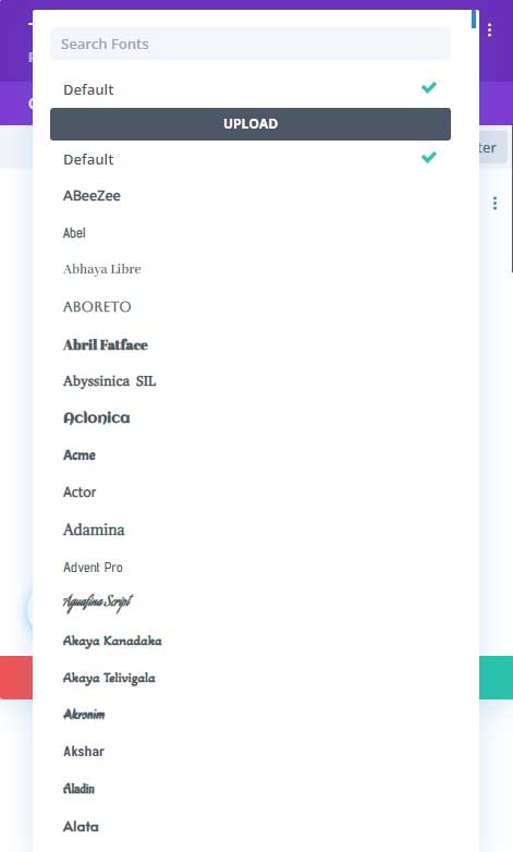 Divi fonts preview