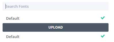 Upload your custom font in Divi